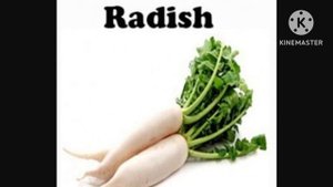 Vegetables Vocabulary | Vegetables Names With Images | 100+Vegetables Name in English|