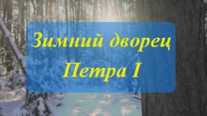 Зимний дворец Петра I