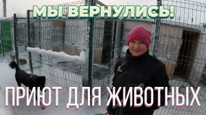 Спасение Якутских собак. Приют для животных, добрые поступки