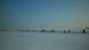 Кто знает Кукмор?