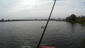 Выбрался на рыбалочку! Большой лотос весна 2020! Тест нового спиннинга Okuma Psycho Perch