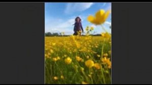 Сергей Есенин, Ты такая ж простая, как все…, муз. и исп. #СамуилФрумович.wmv