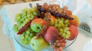 Пансионат Автомобилист 3* Адлер, Россия | обзор, территория