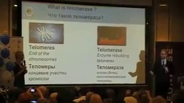 Что такое Теломераза и Теломеры?