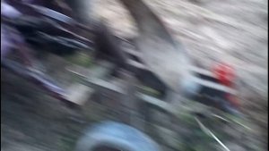 Самодельный трактор с двигателем от мотоблока. ( Копаем картошку )