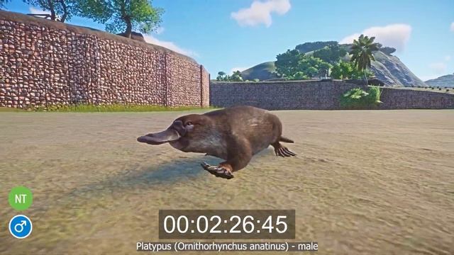 Aquatic Animals Speed Races on the top of the hill in Planet Zoo included Capybara, Crane, Buffalo смотреть онлайн