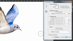 Как сохранить выделенную область в Photoshop (Фотошопе)