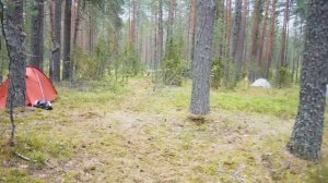 Как выбрать место для палаточного лагеря и организовать жизнь на отдыхе на природе и в кемпинге