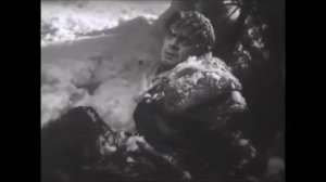 повесть о настоящем человеке