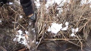 Жигулевский заповедник ноябрь 2021.