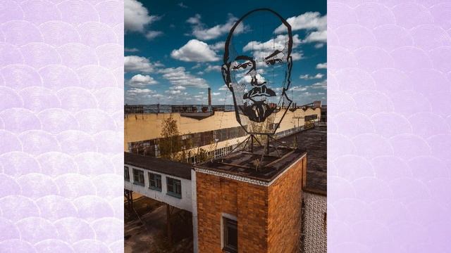 В Брянских лесах нашли заброшенный самолет. Мы забыли средства самообороны и очень пожалели об