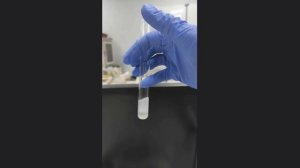 Выделение ДНК растительной ткани методом фенол-хлороформной экстракции