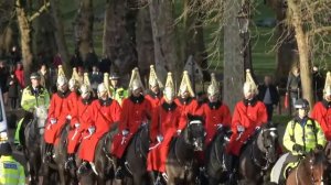 Как маршируют военные на параде или животные в армии. SMart1961