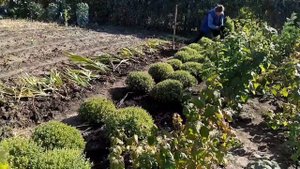 Как заработать на 10 сотках?!