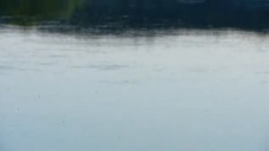 Российская национальная география: Воронеж. Графский заповедник