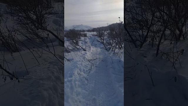 Двигатель лифан 27л.с на длинном снегоходе буран по глубокому снегу.....минус30 камера замёрзла.