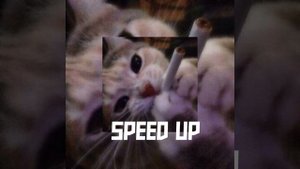 SPEED UP (хай-хай-хай,она похожа на модель)