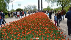 ВОРОНЕЖ ГИМН