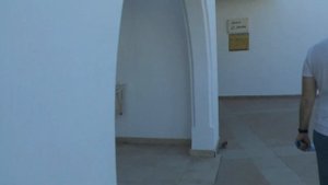 Iberotel Palace 5*/Египет/Шарм-Эль-Шейх/обзор отеля