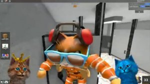 Настоящий голос Котёнка лайка