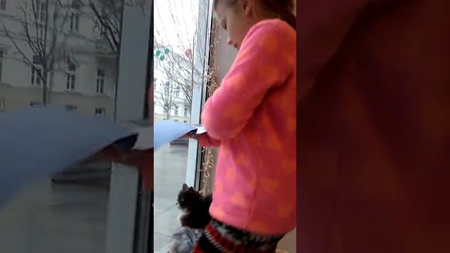 СОНЯ НЕ СПИТ В КЭТ КАФЕ ВИЛЬНЮС. ЧАСТЬ ВТОРАЯ смотреть онлайн