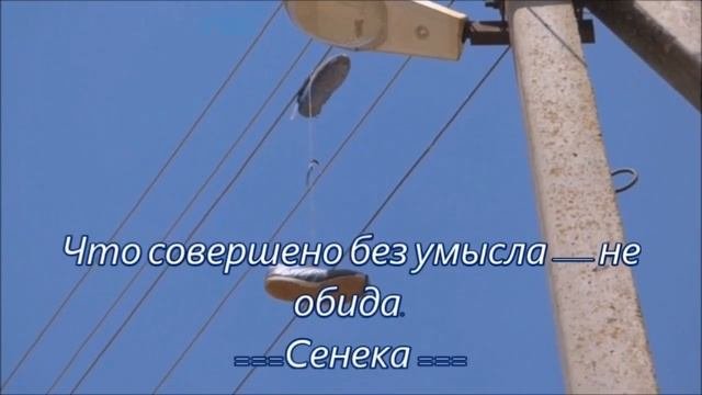 Цитаты про обиду.  Мудрые мысли, афоризмы, изречения