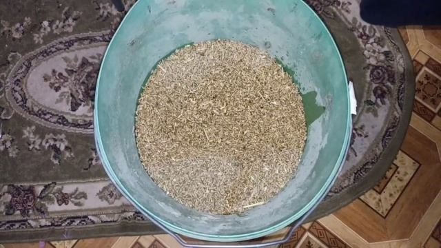 Повышаем яйценоскость у кур. Дрожжевание кур.