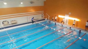 Лучше всех! Плавание 50 метров кроль. Алматы арена.