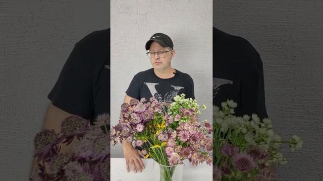 Астранция . полезные советы Павла Горбенко  в #азбука_цветов
