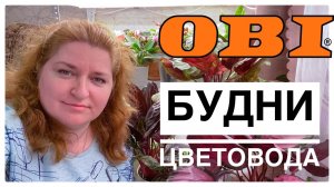 Будни цветовода _ На прогулку в ОБИ _ 15.05.2022г..mp4