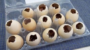 Заливное в яичной скорлупе