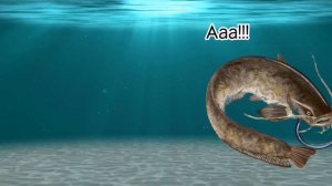 Удачная рыбалка!