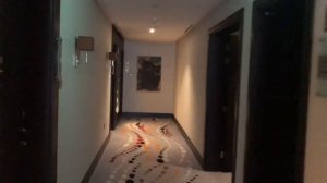 Canal central hotel лучший отель в Дубае!