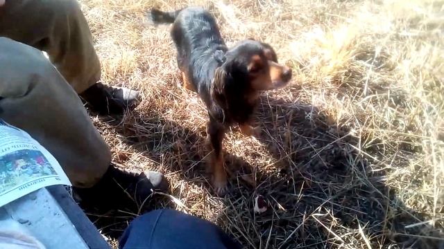 новый старый объект смотреть онлайн