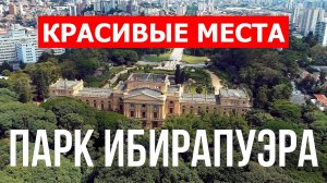 Парк Ибирапуэра в Сан-Паулу. Видео в 4к