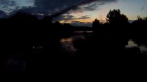 Одуванчики для голавля. Ловля голавля в сумерках