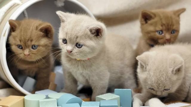 HOW TO COPY ART STYLES ? (pro artist secrets revealed) смотреть онлайн