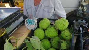 Азовское море. Голубая бухта. Посёлок Кучугуры. Летний отдых.
