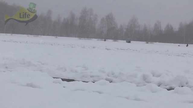 В глухозимье только это спасает от безклевья. Накапайте немного в лунку. Валерьянка для рыбалки. смотреть онлайн