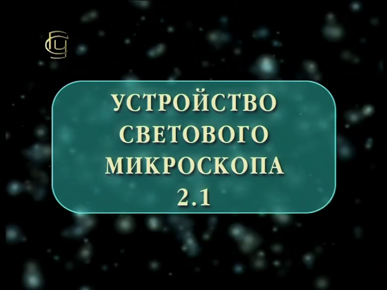 Устройство светового микроскопа