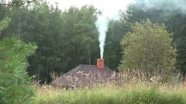 Баба живущая на хуторе  вместе с маленьким сыном стала слыхать по ночам стылый волчий вой!
