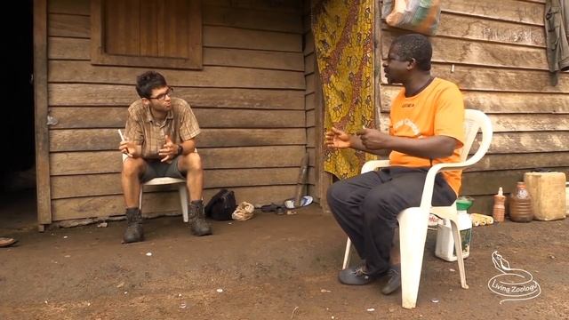 Finding Frogs in Cameroon (wildlife documentary by Living Zoology)