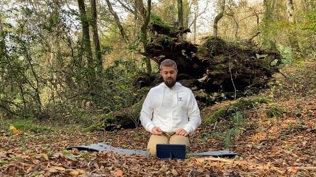 Кулаки гнева! смотреть онлайн