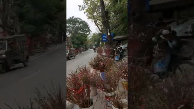 Движение во Вьетнаме: Мотоциклы, Клаксоны и Веселые Уикенды 🏍️🚗