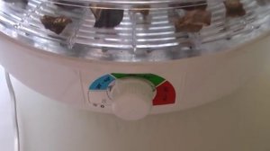 Как приготовить грибной порошок. Сыроедческий рецепт из белых грибов:)