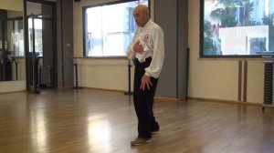 Corsi di Tai Chi e Qi Gong a Roma – M° Flavio Daniele – Il Leone - Analisi Interna del Movimento II