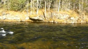 река Саласу