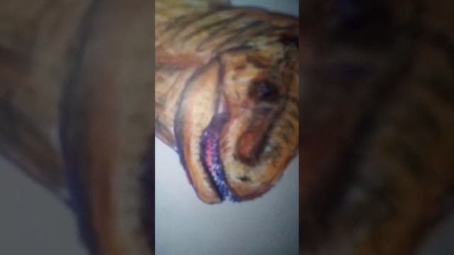 динозавры с 1 уровня со 2 уровня напишите в комментариях. смотреть онлайн