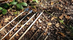 Bow Trap ~ Lethal ~  Primitive ~ Survival