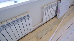 КОТЛЕТЫ ИЗ СВИНОЙ ЛЯШКИ. ОБДИРАЕМ ЭКСПЕРИМЕНТАЛЬНЫЕ ОБОИ